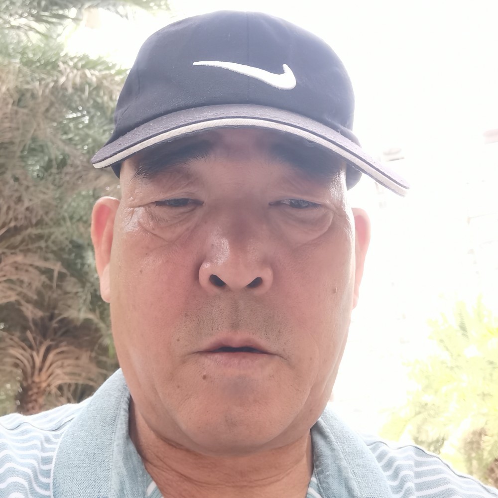 刺猬邂逅典雅的照片