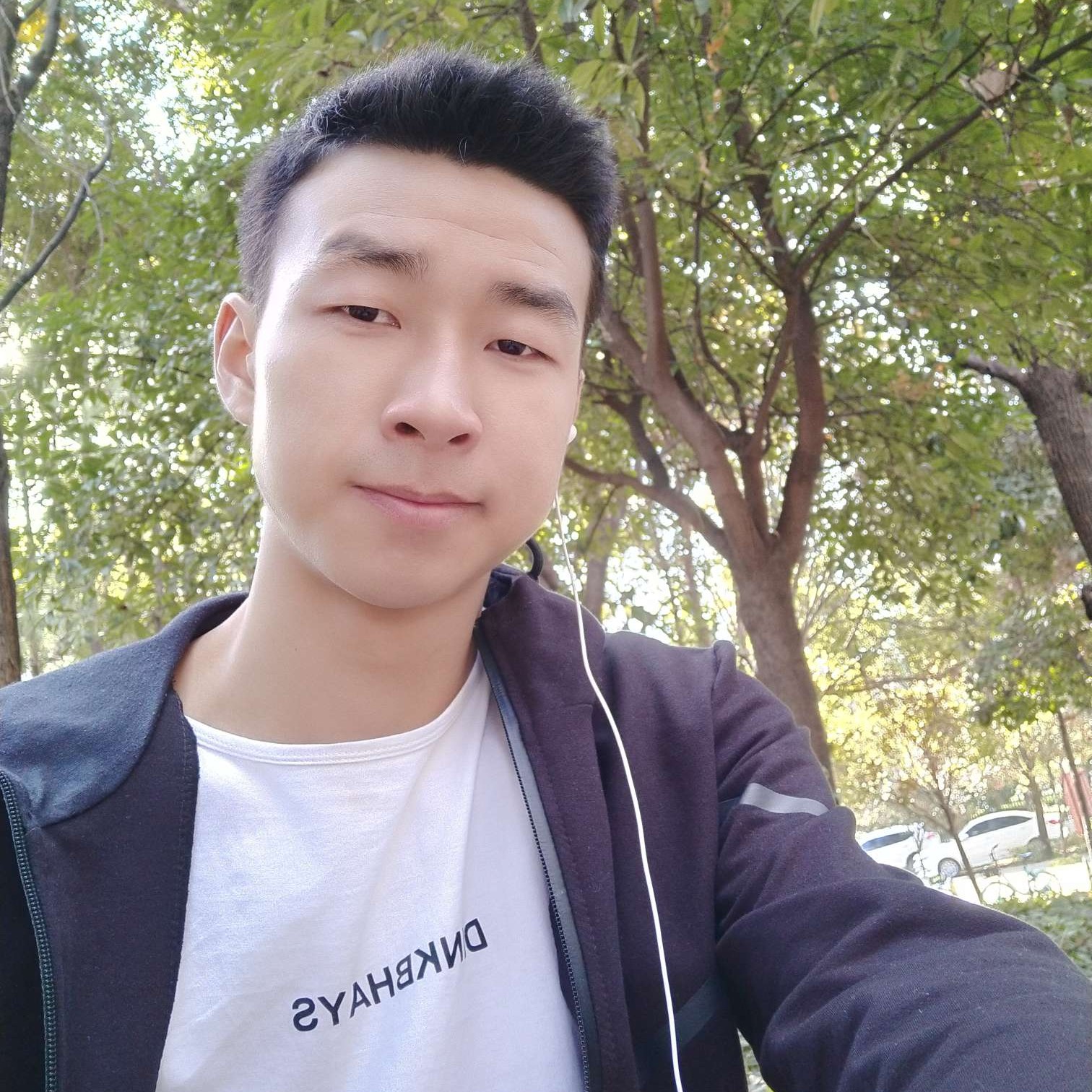 一叶竹的照片