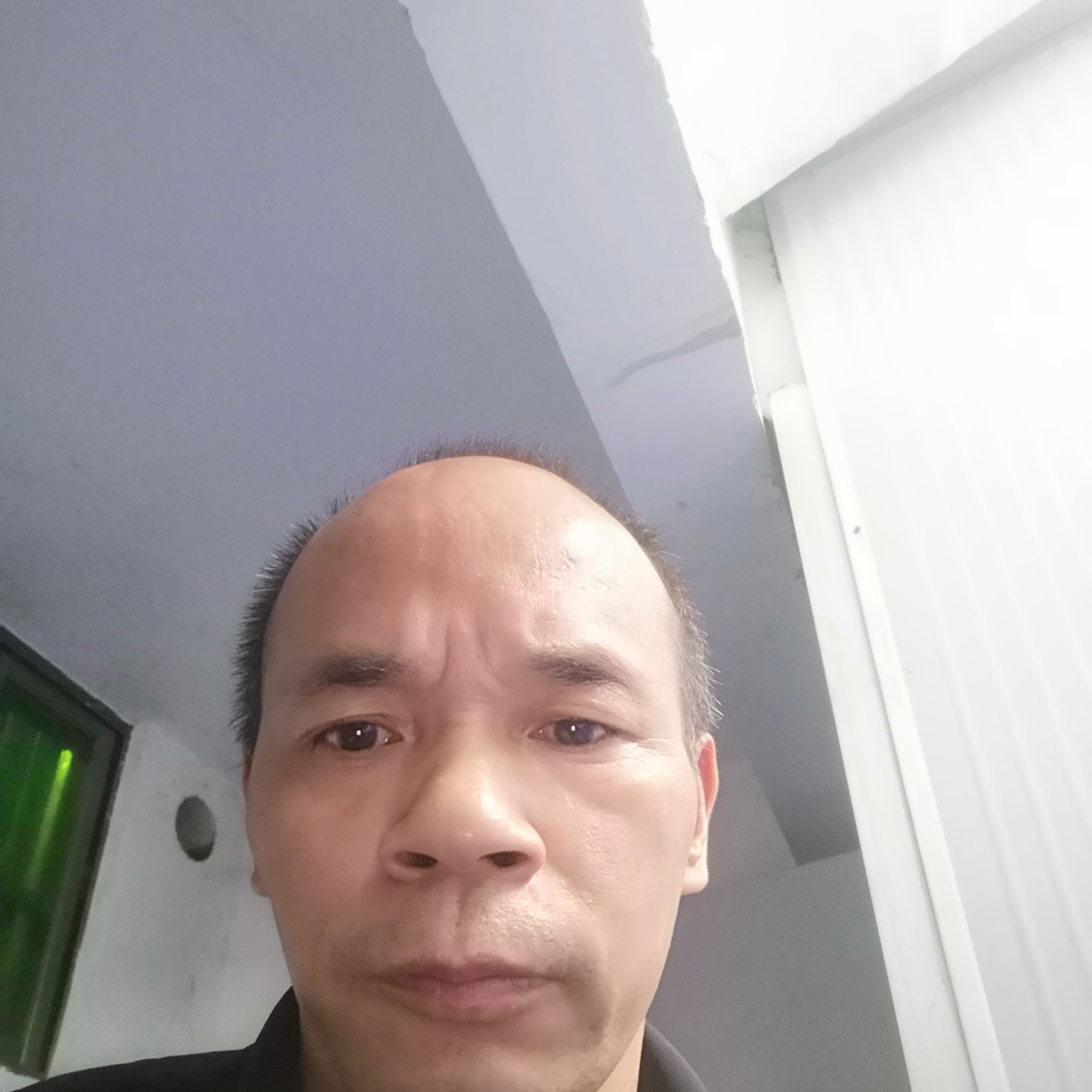 老虎相许繁荣的照片