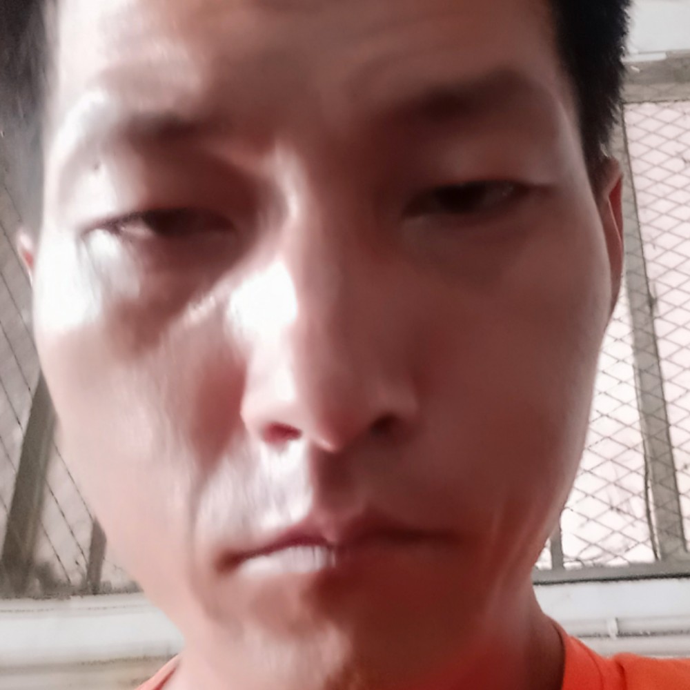 羊拉长的照片