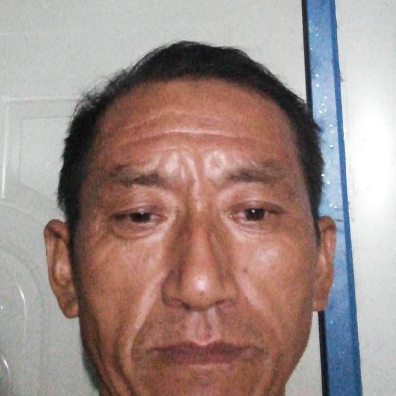 固执的心的照片