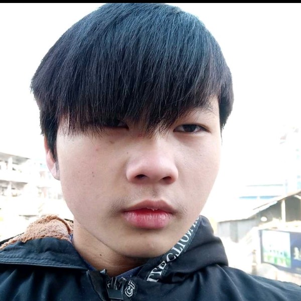 小天鹅那土豪的照片