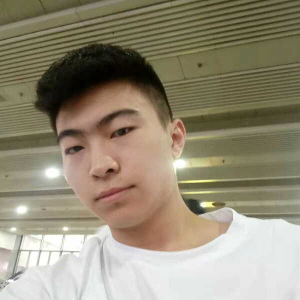欢呼剪影的照片