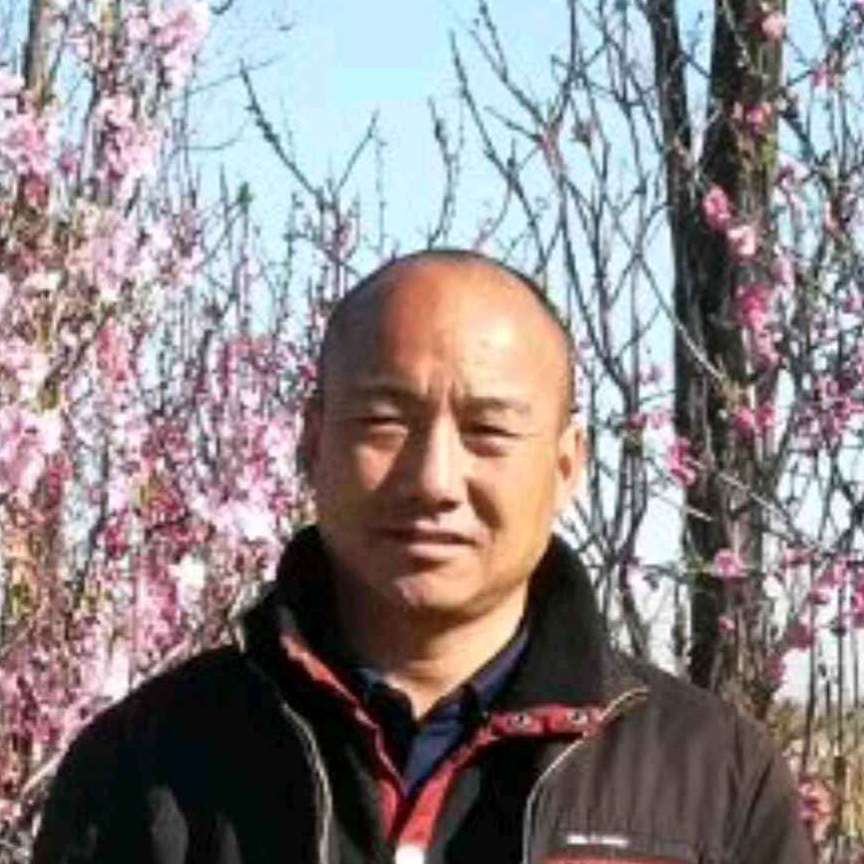 绝影朴实的照片