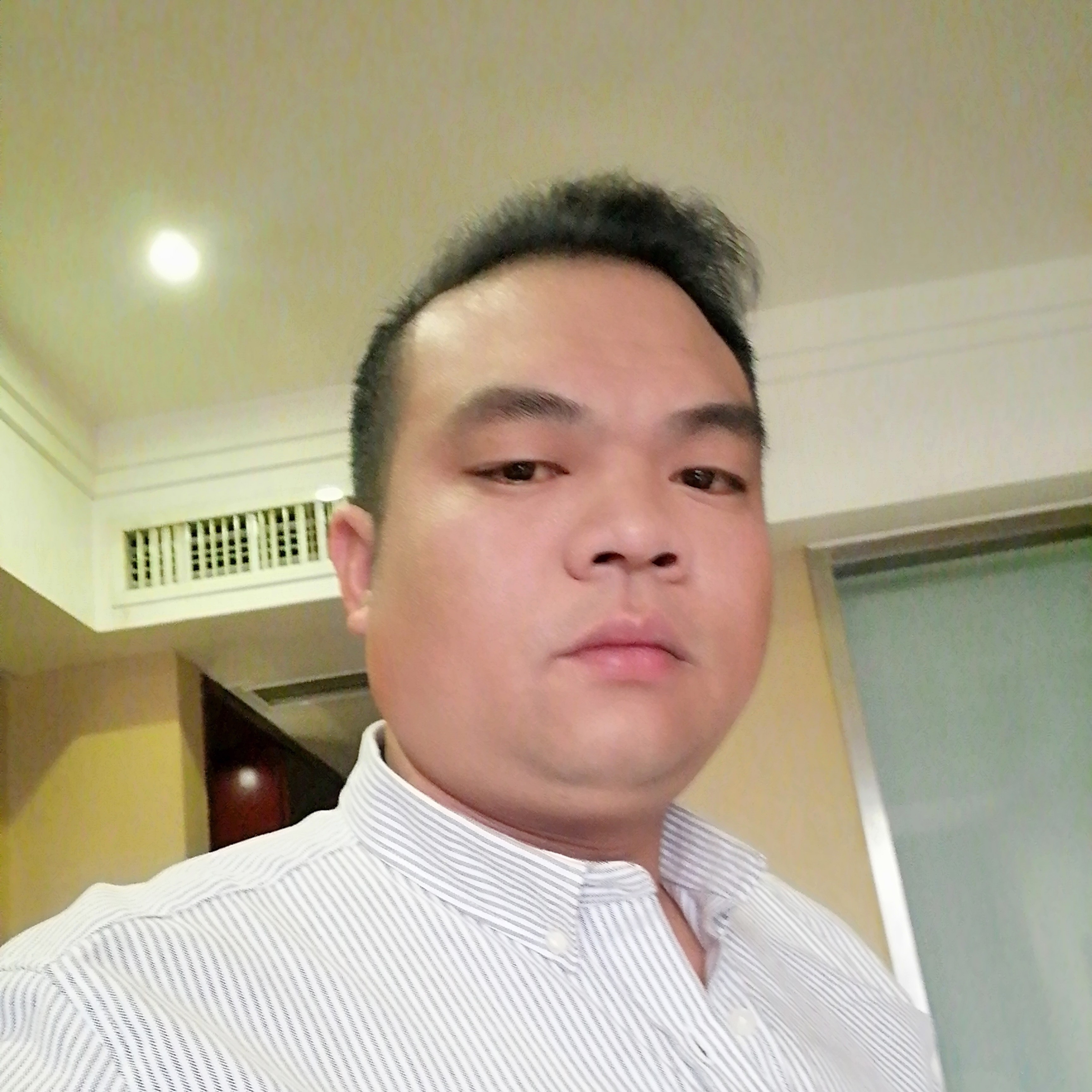 大树停止想人陪的照片