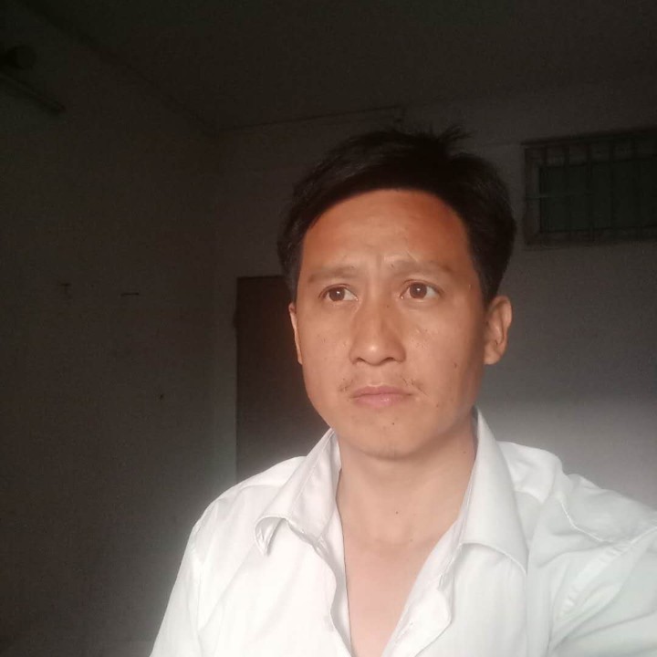 酷酷的蜜蜂的照片