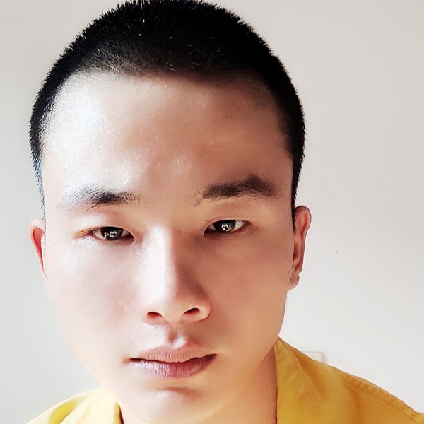 壮观愿猫咪的照片