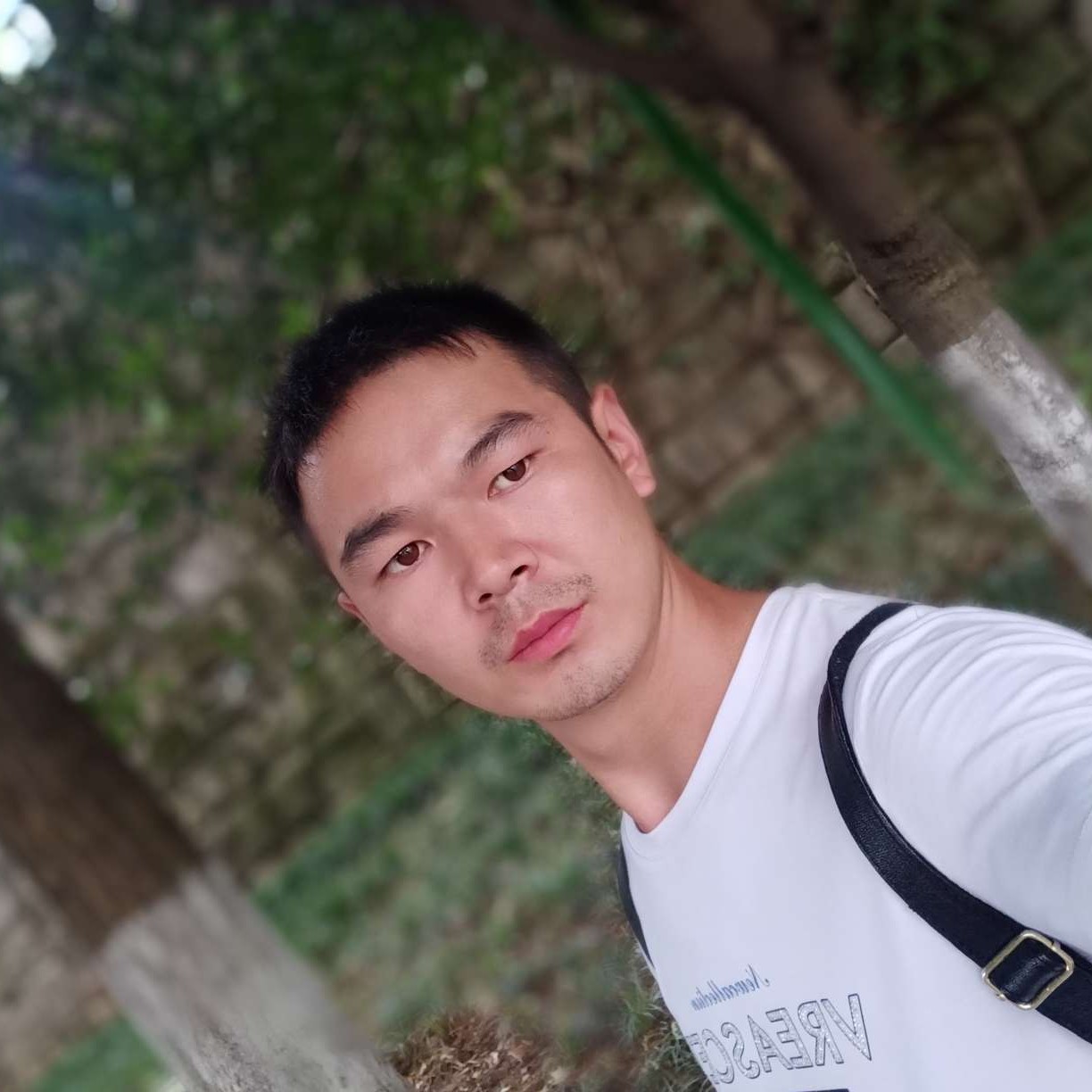 玉米闻鲤鱼的照片