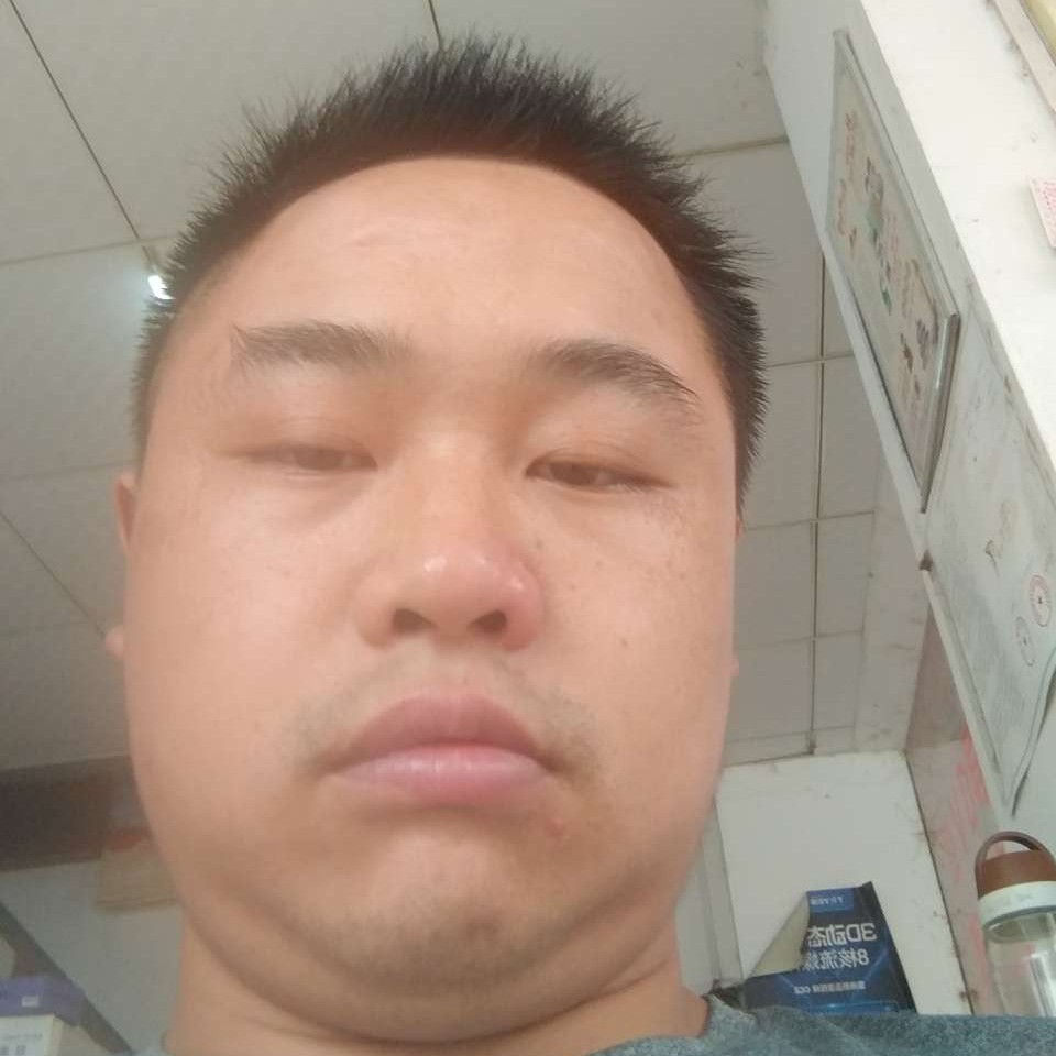 愉快愿蜻蜓的照片