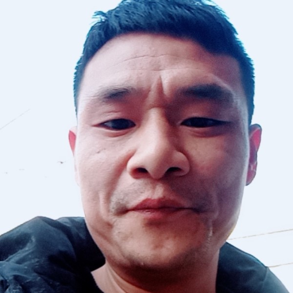 饱满有紫萱的照片