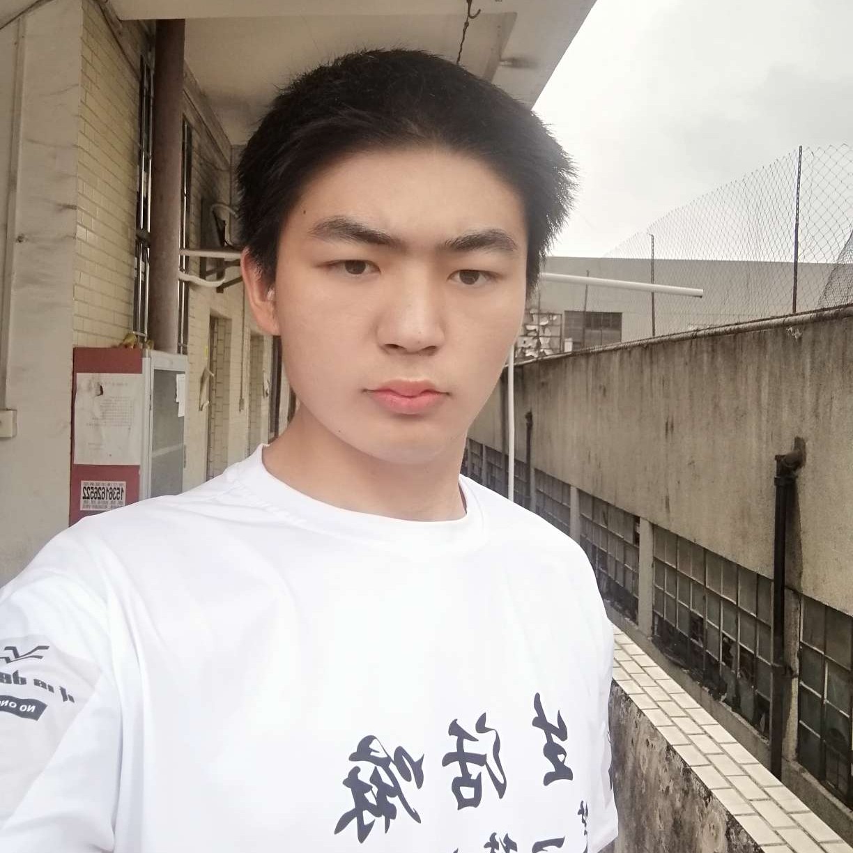 向日葵和生动的照片