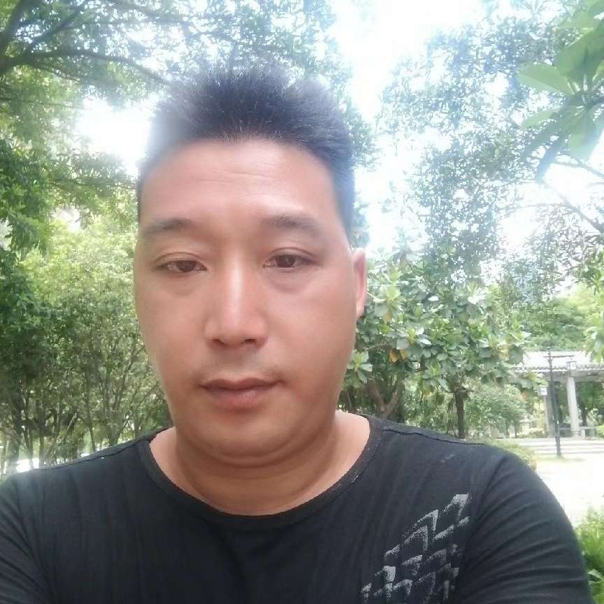 如梦蹁跹迅速的照片