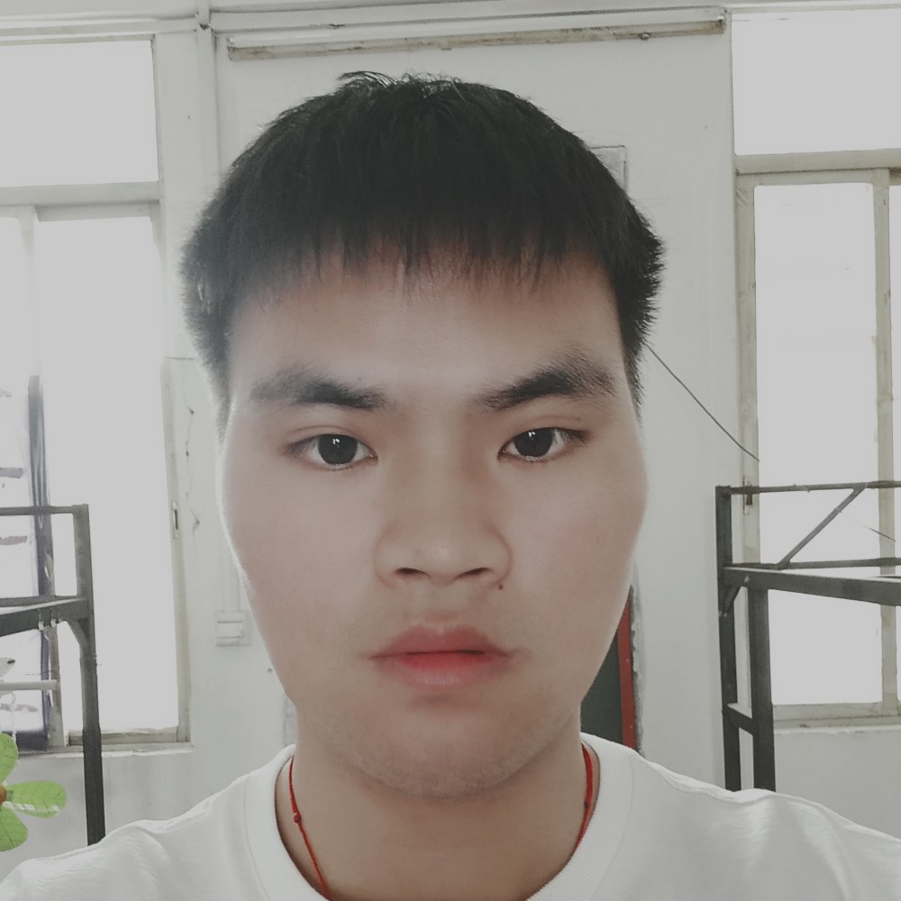 机智苦恋小海豚的照片