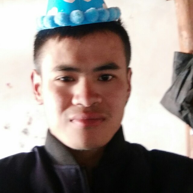 杨航杨航的照片