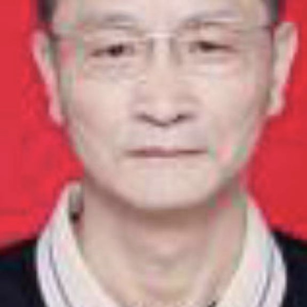 虚似中寻真情的照片