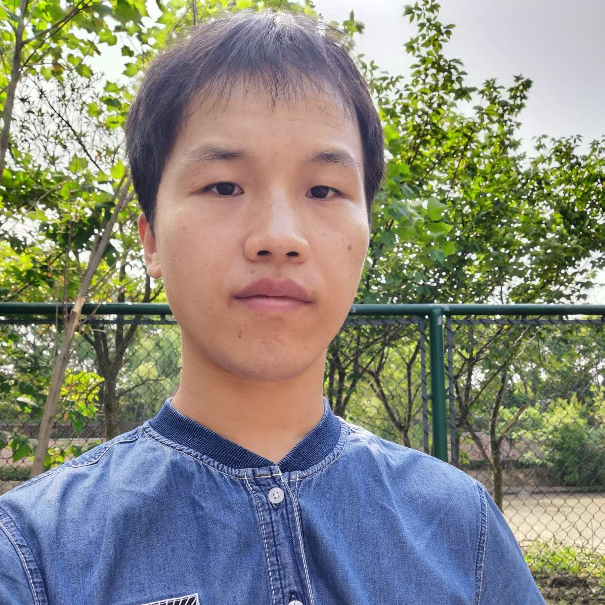 卡提修斯的照片