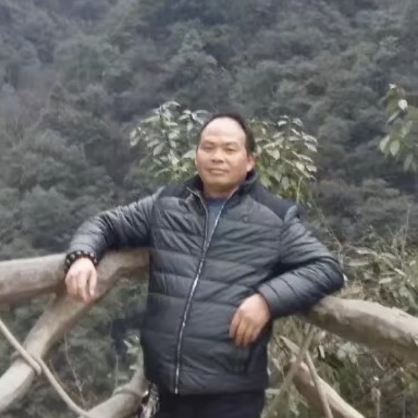 青花回眸健忘的照片