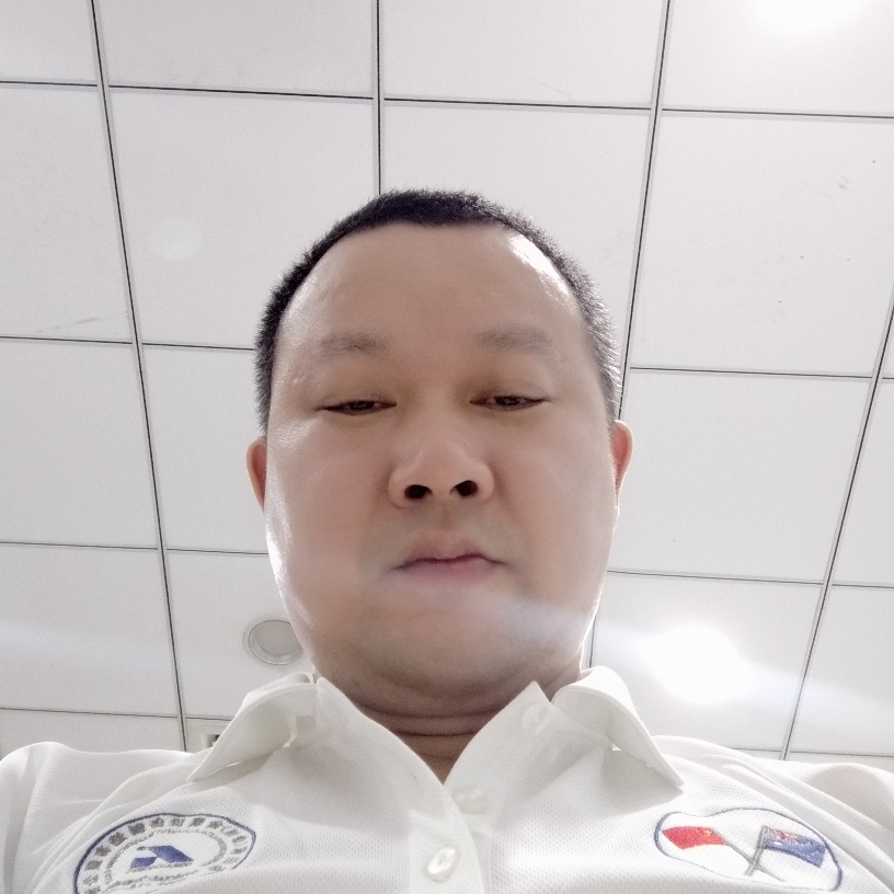 勇猛的大雁的照片