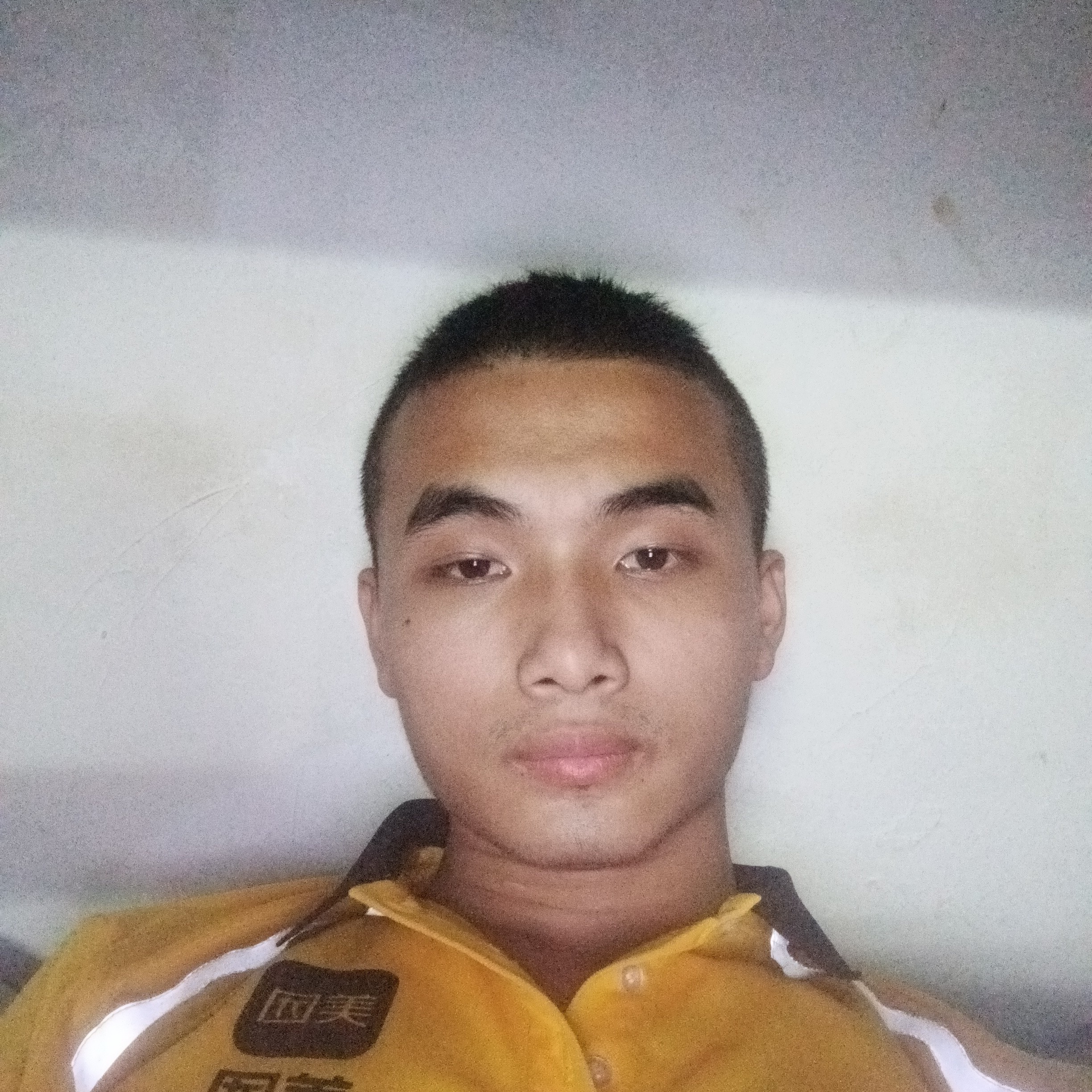 悲凉挽手柠檬的照片