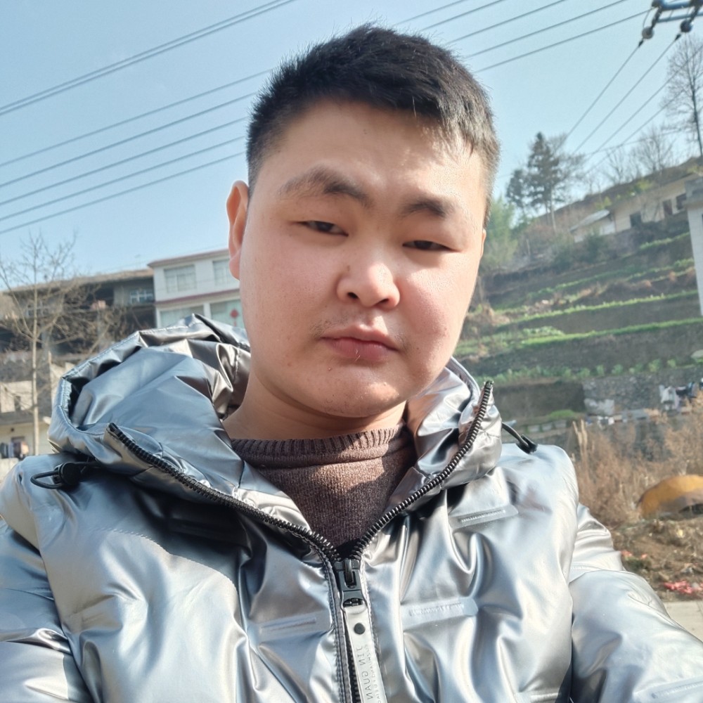 白猫爱恋鳗鱼的照片