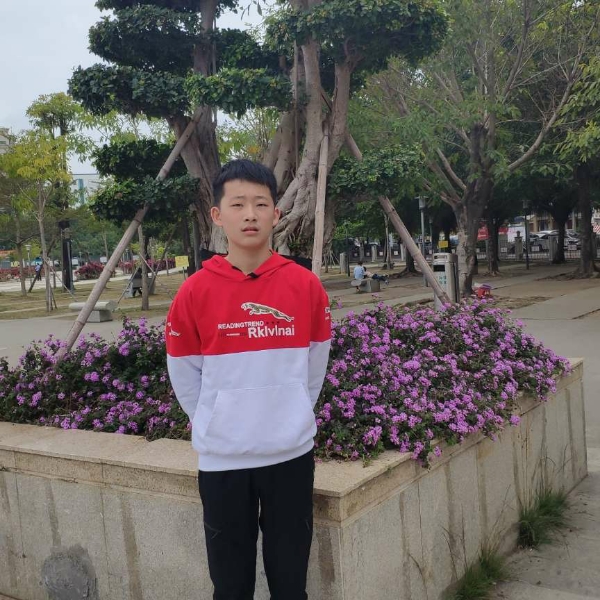 乌龟体贴的照片