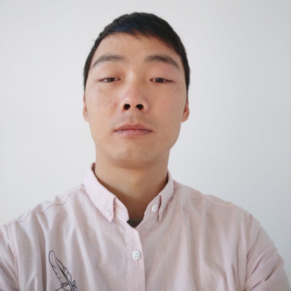 专一小海豚的照片