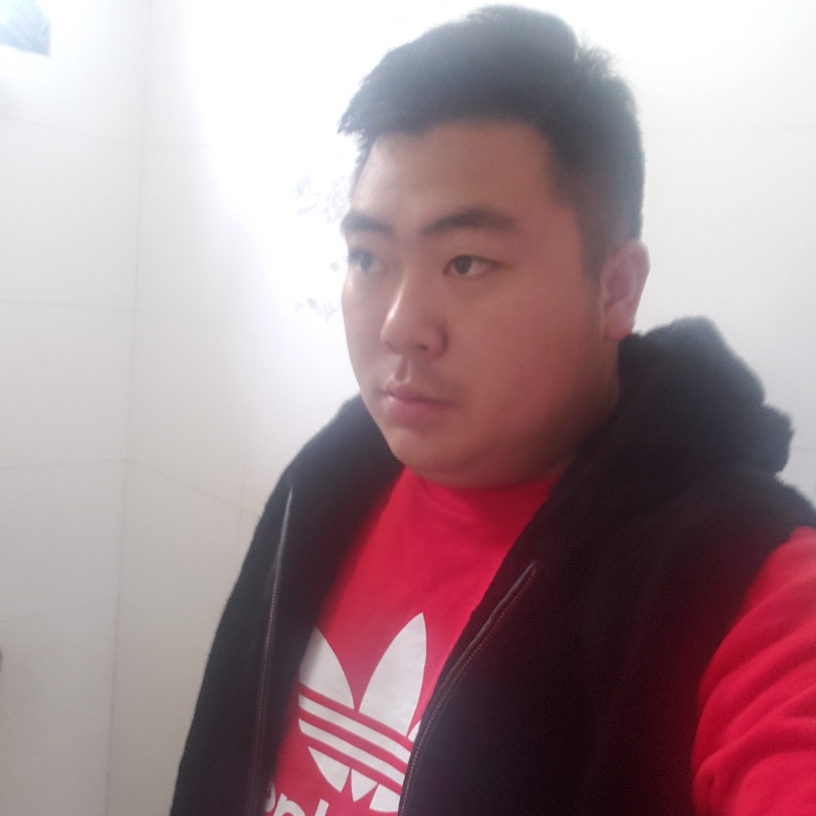 像飞一样自由的照片