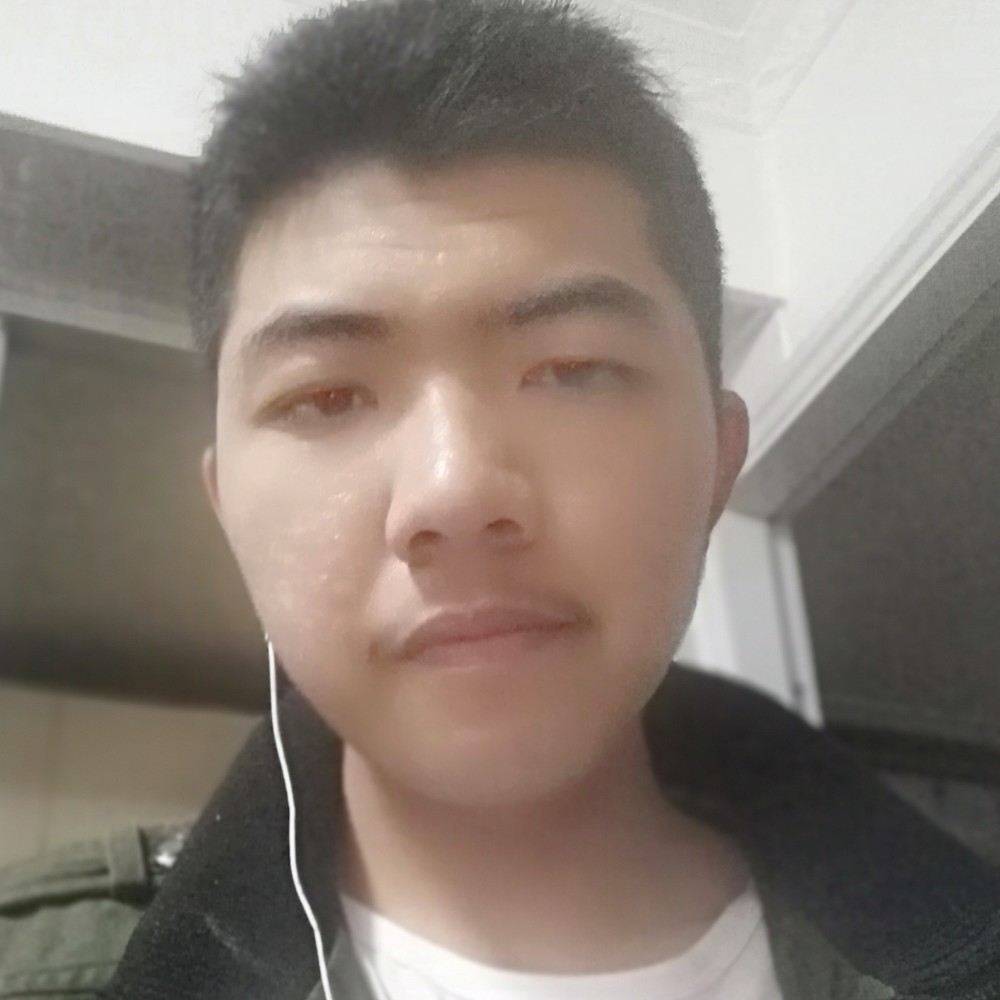 糊涂小丸的照片