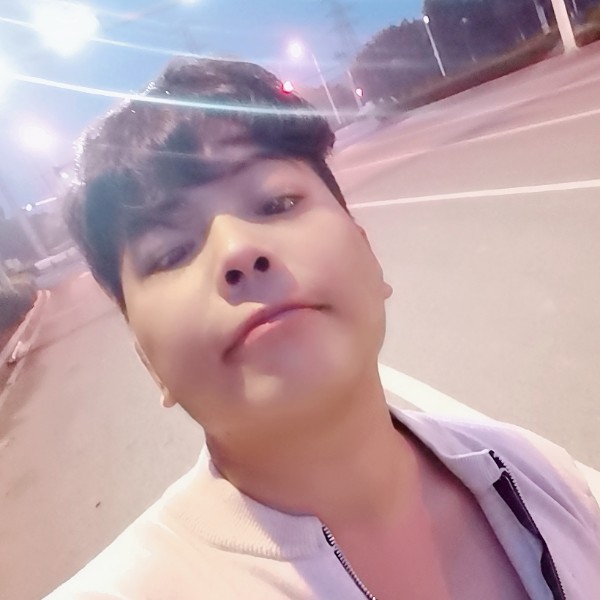 小海豚凝眸温婉的照片