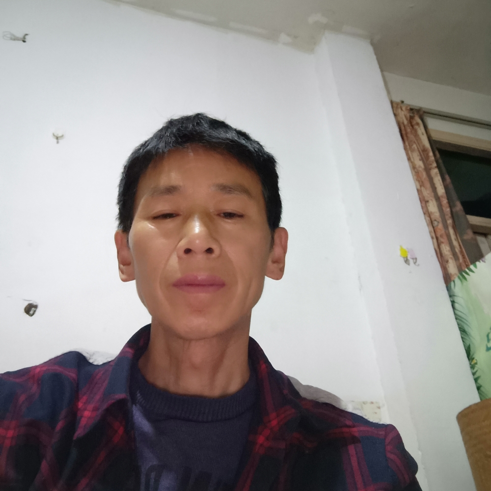 泥猴桃邂逅明媚的照片