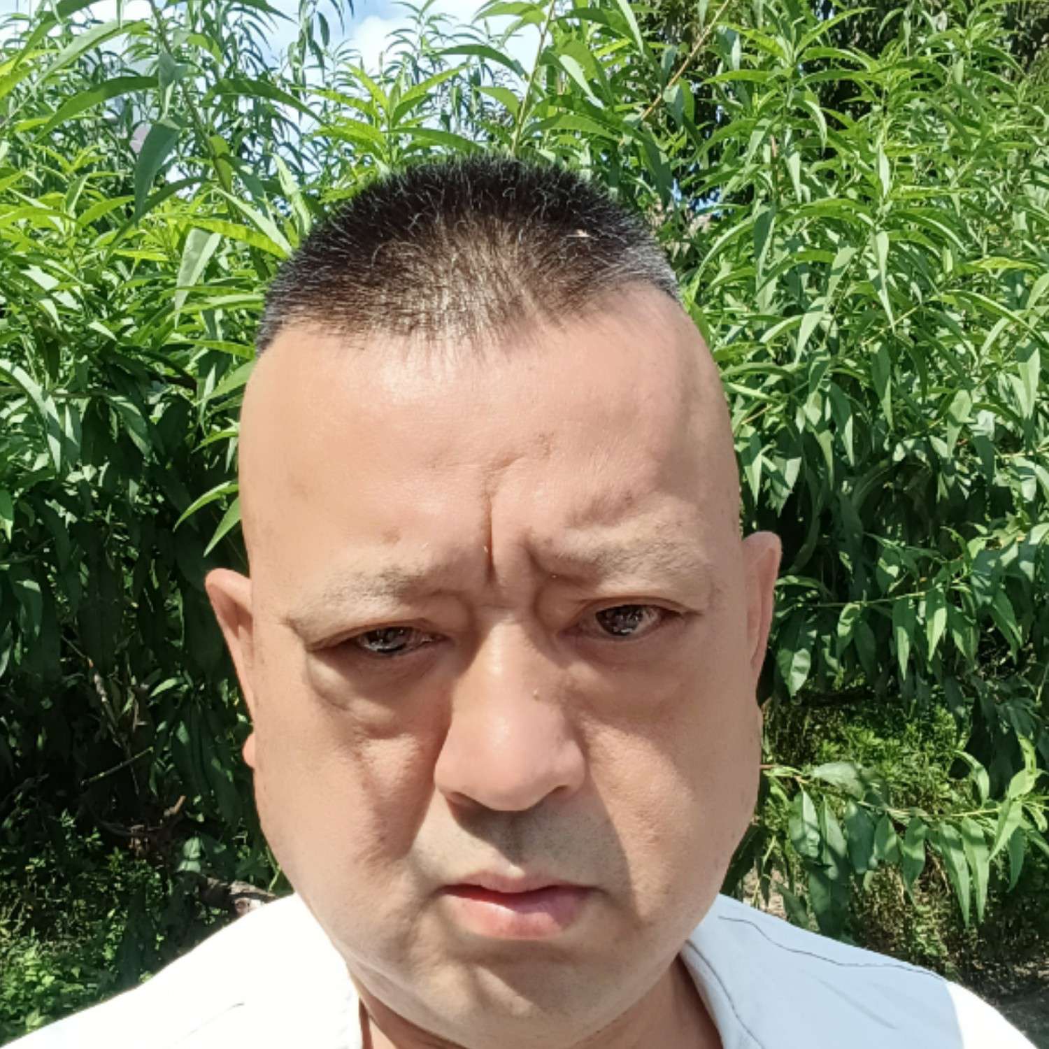 眯眯眼相许青衣的照片