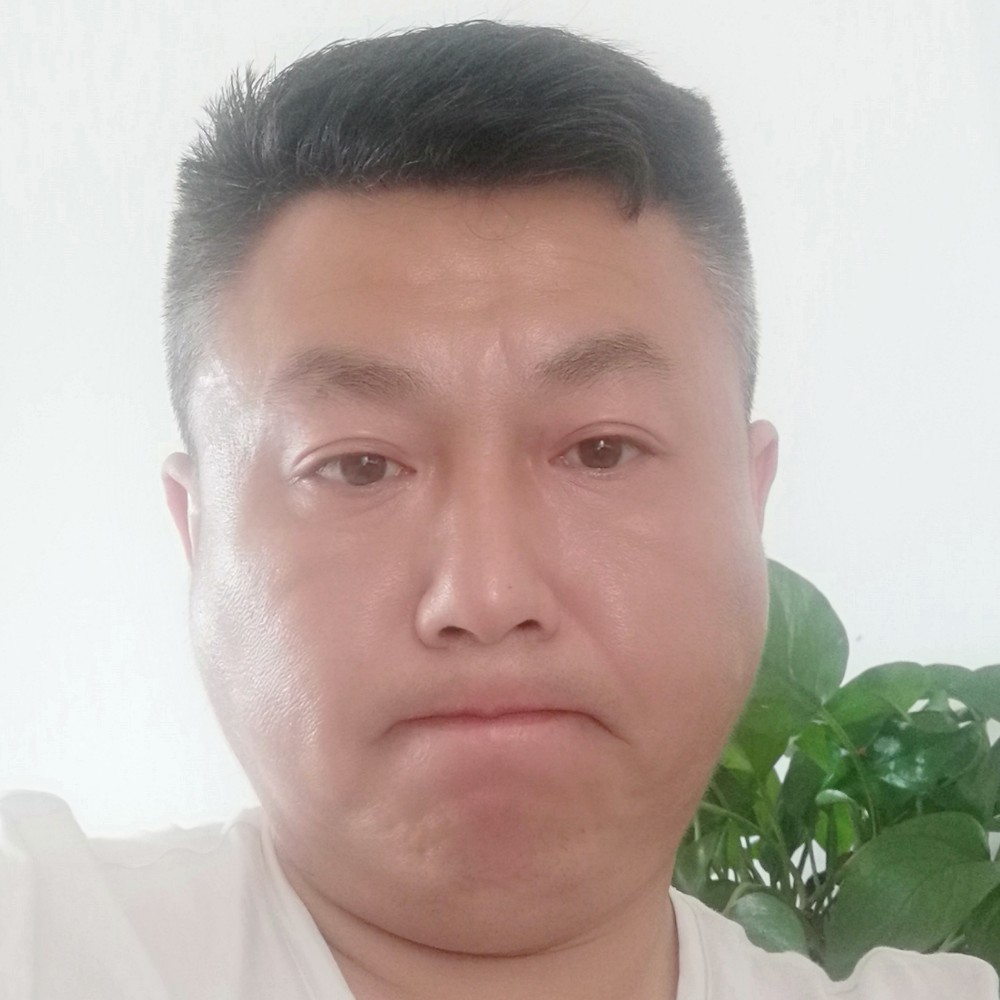 爱胡闹的猪的照片
