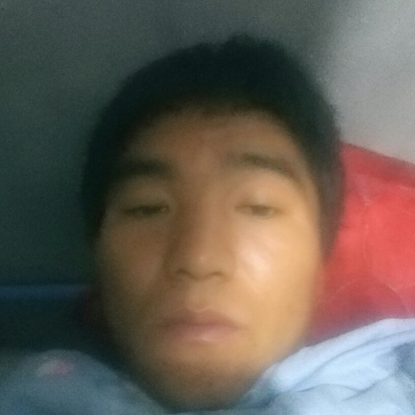 灯泡相许初夏的照片