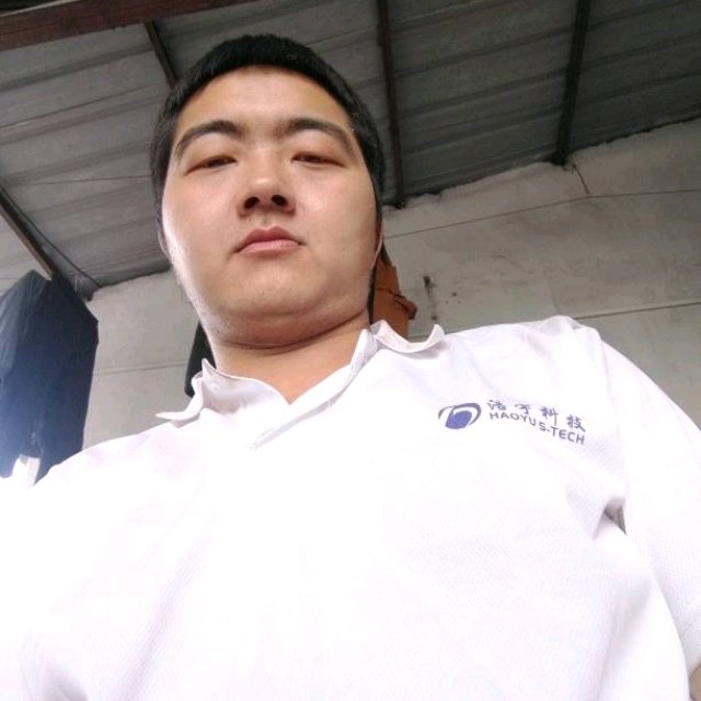 暖光翩飞的照片