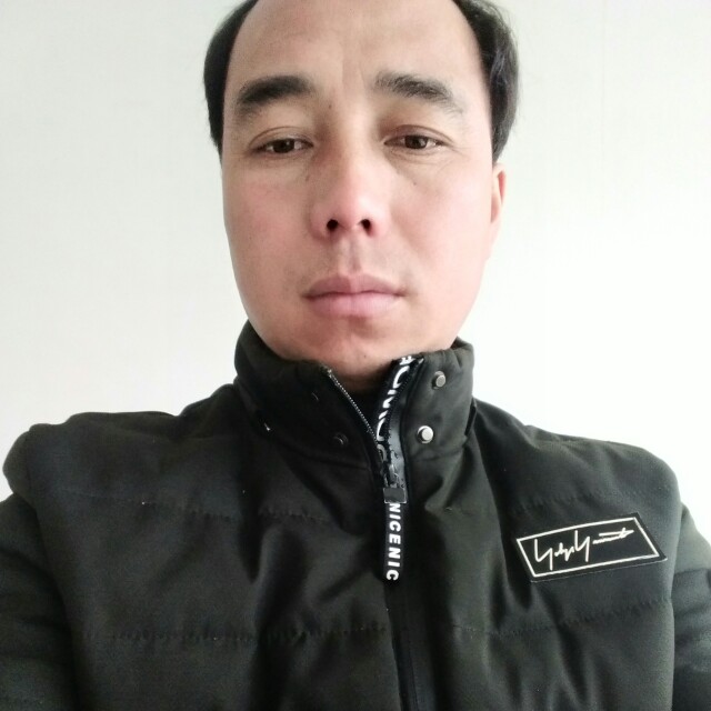 坚定小猫咪的照片