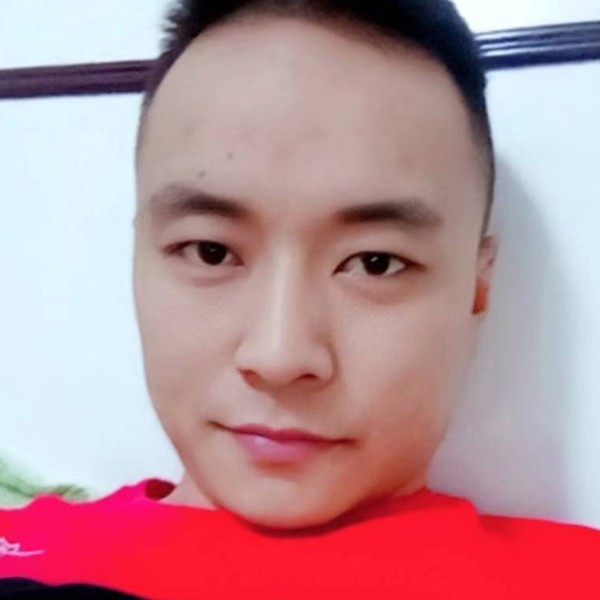 小白菜拾忆无情的照片