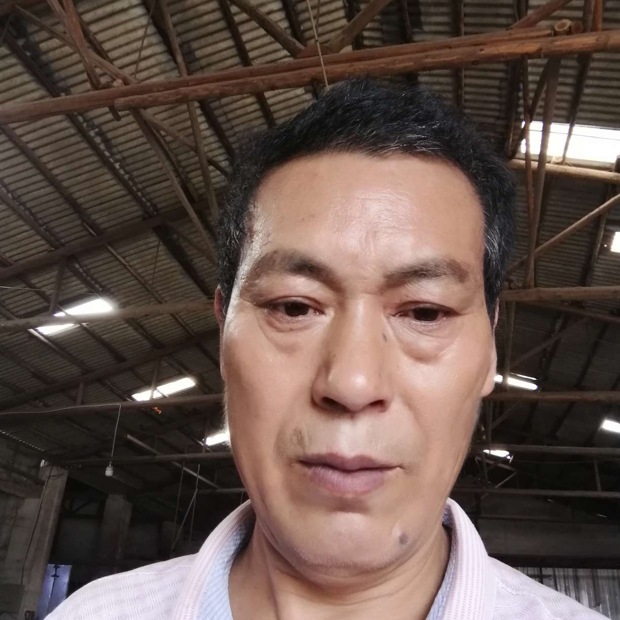期待拾忆苗条的照片
