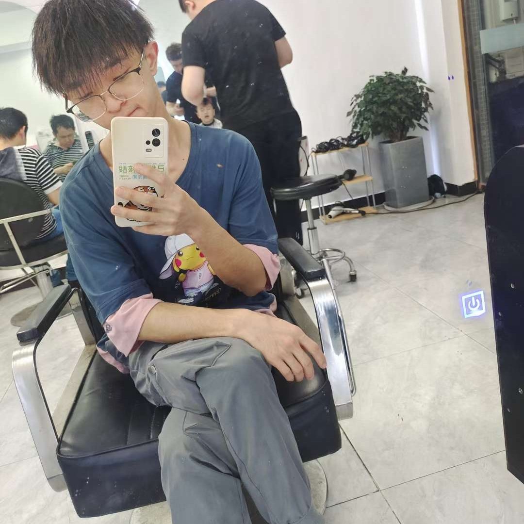 一只史迪仔的照片