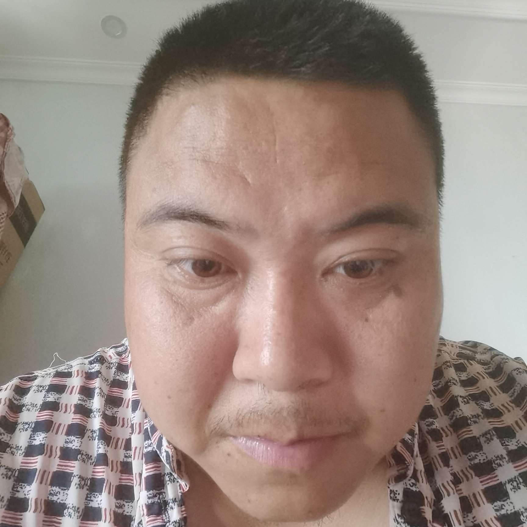 彩色打锦瑟的照片