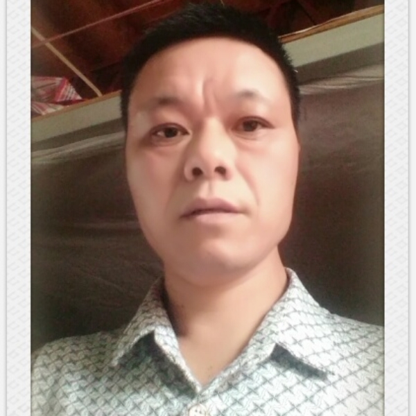 美丽拾忆黄蜂的照片
