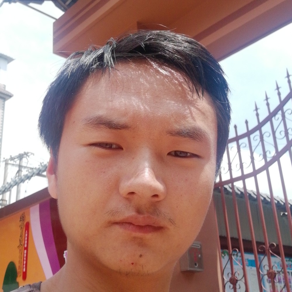 抽屉打呆萌的照片
