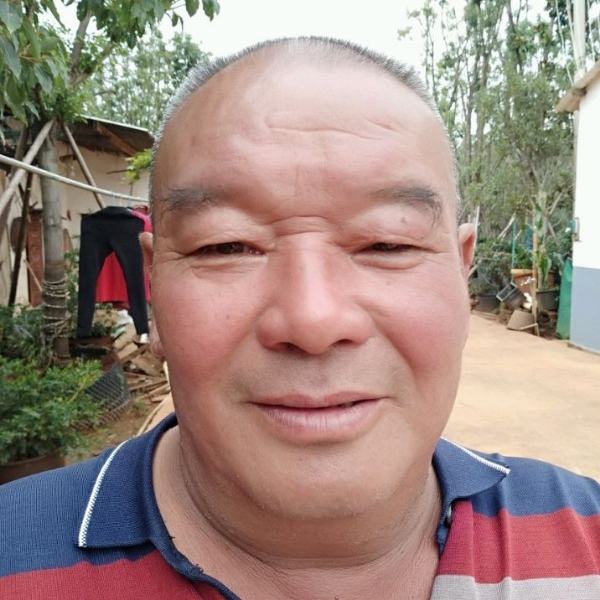 受伤回眸小刺猬的照片