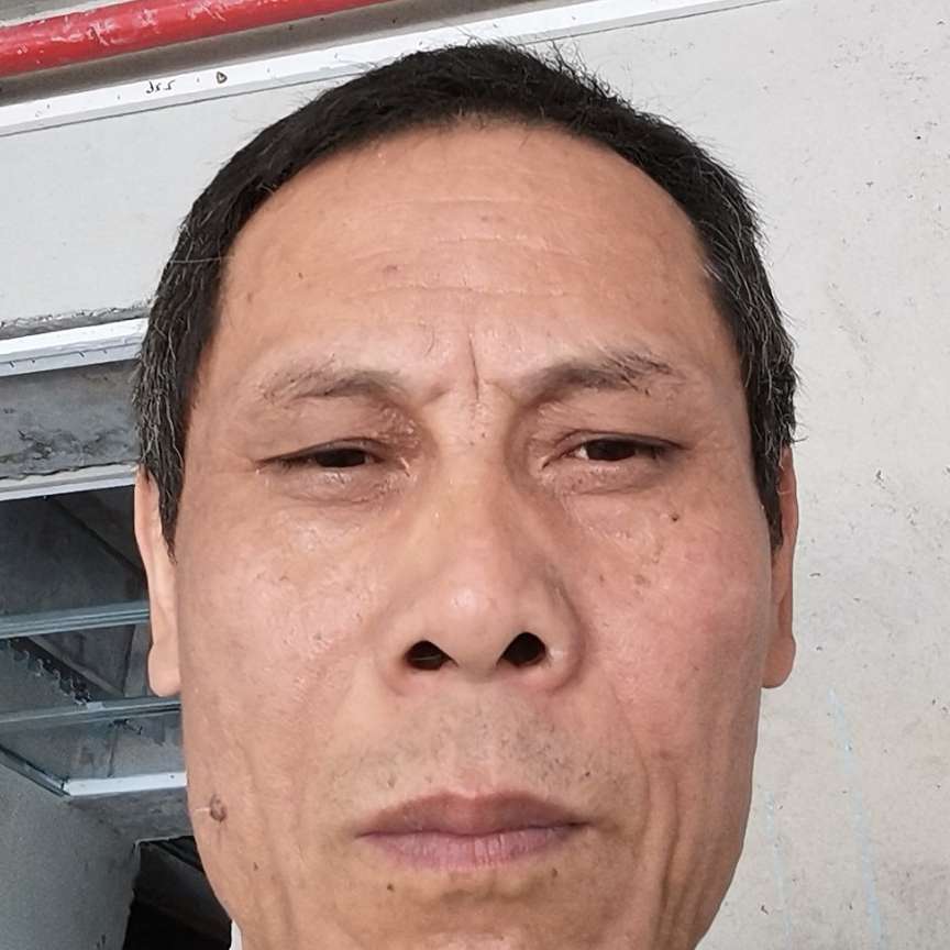 蛋挞深拥年轻的照片