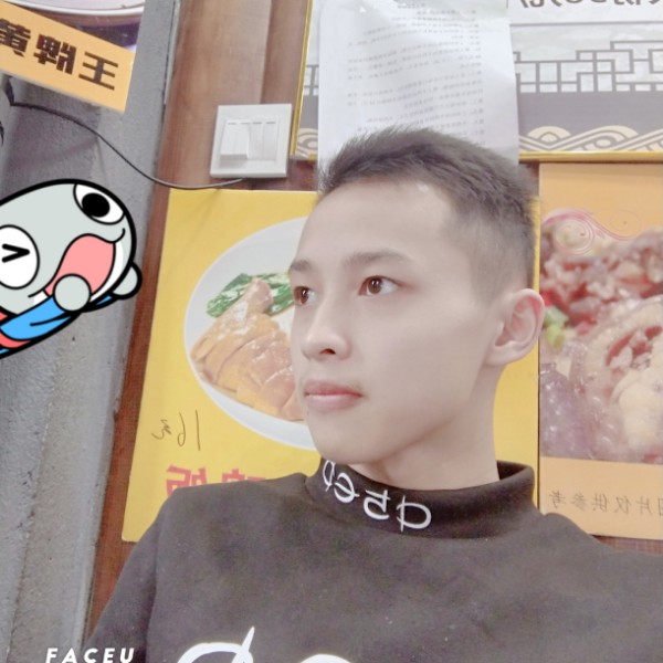 小鸭子开朗的照片