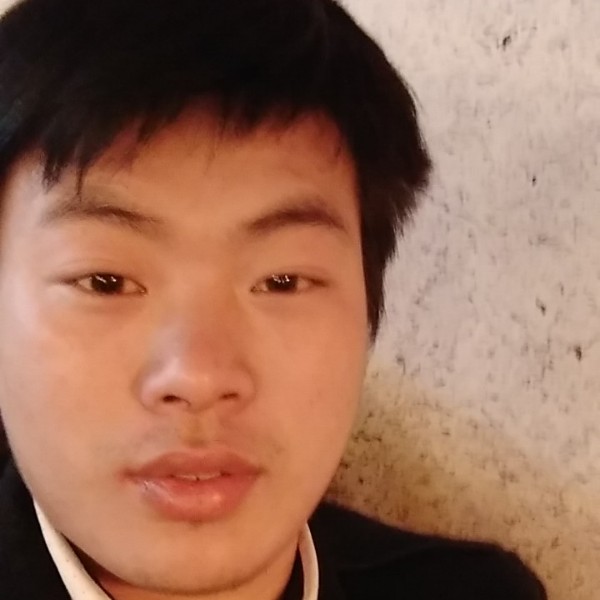 傻傻离歌的照片