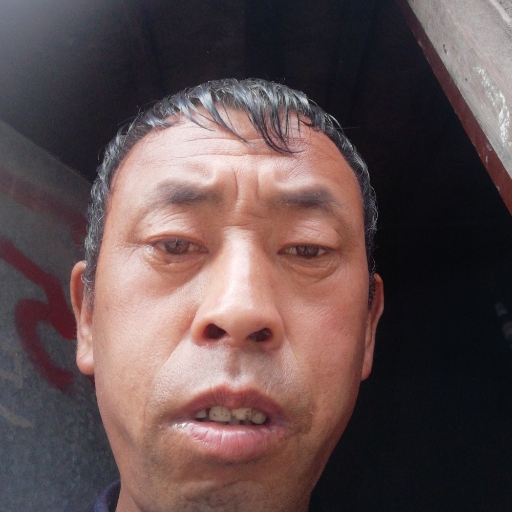 荔枝壮观的照片