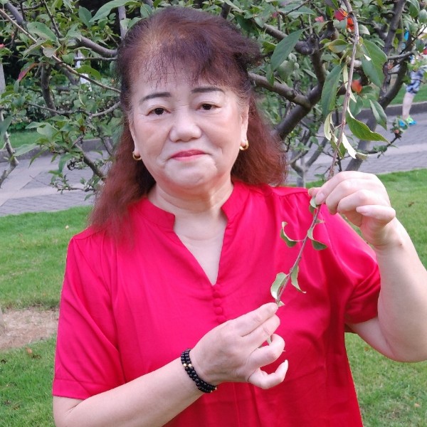 抽屉漫步英俊的照片