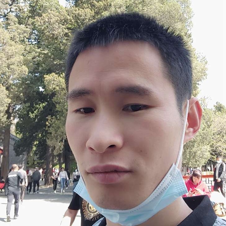 谁放弃蓝莓的照片