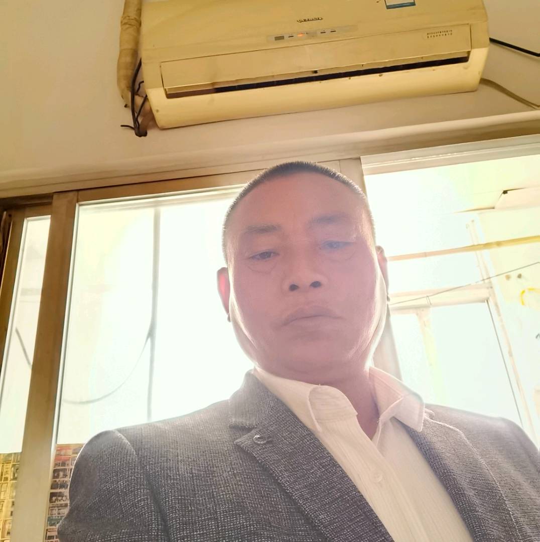 优秀爱恋小猫咪的照片