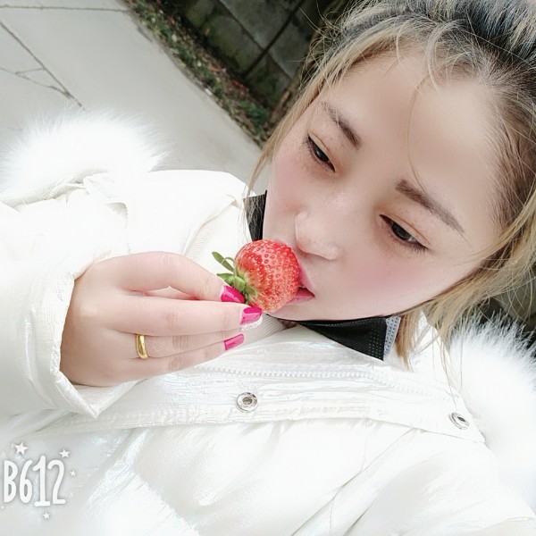 端庄草莓的照片